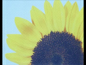 SIMPLEX  廃盤BLCD　フリートークCD 遊佐浩二×遠近孝一 金髪 ロン 毛 男 BLドラマCD SIMPLEX 遊佐浩二,遠近孝一,中村