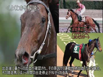 ゆっくり動物雑学「競走馬が鼻血を出すと…」