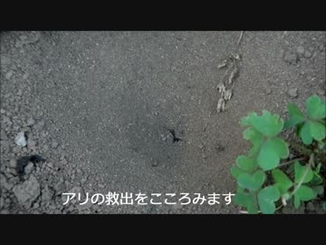 迫真アリジゴクくんいじめ