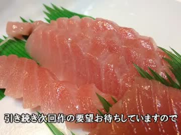 【ゆっくり実況】年末おさかな感謝祭に参加してみた【番外編】