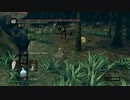 DARKSOULS 赤mob 　【王家の森庭・ウーラシール市街】