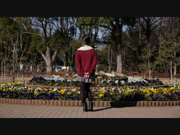 【べべ】ゆるふわ樹海ガール-arrange ver.-踊ってみた【ソロ初投稿】