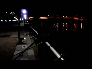 のんびり釣りに行こう　1月2日の釣りの様子です