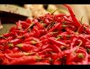 HOT RED