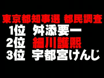 【東京都知事選】東京新聞の都民調査について。- 2014.01.13