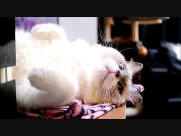 暖房つけるとこうだよ…時定