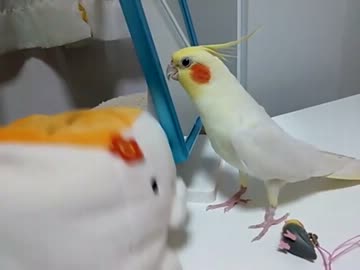 首が勝手に。。。