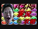 【パズドラ】金の海賊龍　地獄級【光ホルス女性PT】