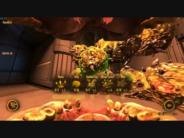 【NS2】ゴージ動画