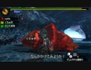 【MH4】鬼門番の娘が往く！AMpart2