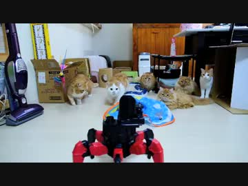 【マンチカンズ】マンチカン親子に襲いかかるロボット