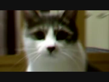 ナナシノリュウスケ