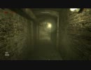 【PC】Outlast vol.012【プレイ動画】