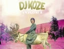 DJ Koze - Track ID Anyone