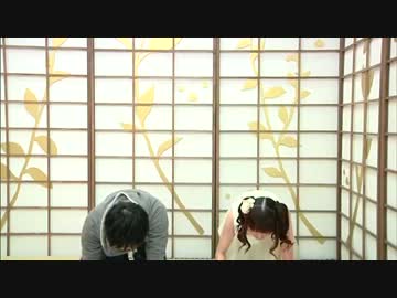 ゆかり☆ちゃんねる5 5/5