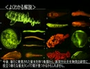 ゆっくり動物雑学「蛍光で…」