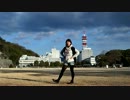 【踊ってみた】　shake it ! 【りぷとん*】