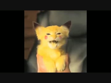 Zach KingのVine小ネタ動画集