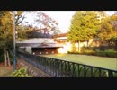 2013年11月05日 東京都立川 諏訪神社 境内散歩