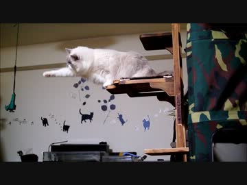 ねこｖｓすごい宇宙の人