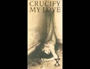 【歌ってみた】curucify my love