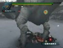 【MHF】フルフル変種クエ笛ソロ・後半【赤ヴォル笛】