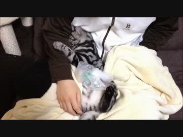 【しま】抱きついていたいんです。