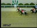 2014 佐賀競馬　花吹雪賞　SⅠ