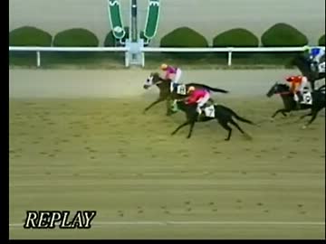 2014 佐賀競馬　花吹雪賞　SⅠ