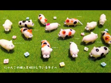 にゃんこの購入を検討しているキミへ【にゃんこマニュアル】