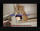 【ゆっくり実況】ドロップタワーディフェンスR【その6】