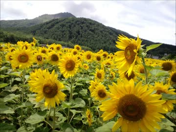 ツーリングに行きたいどー2013 Part2【スライドショー】