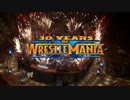 【WWE2K14】30 YEARS OF WRESTLEMANIAを実況プレイ　レッスルマニア２９　その３