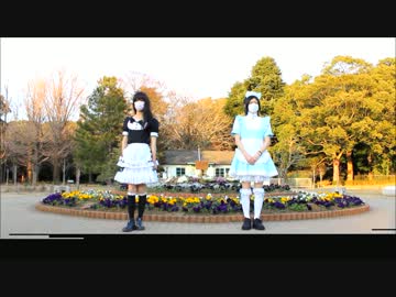 【踊ってみた】嘘と脳【女教授×やまね子】