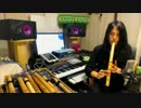 【ケーナ】ショパン　ノクターン【仙人】