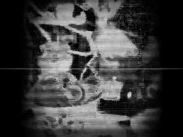 【オリジナル】箱庭の鳥【鏡音レン】