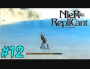 【実況】兄妹愛溢れるゲームをプレイ【ニーアレプリカント】part12