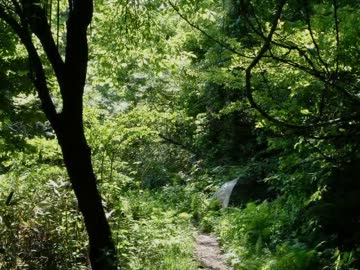 【東方×サガフロ】蒼紅の術士が幻想入り【東方命術士】　Part18