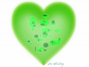 バイオ結婚
