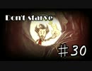 【30】Don'tStarveを自由気ままにプレイ【実況】