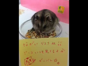 【永井先生】１月２１日