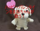 声まねわんちやん。まねちゃんハッピーバレンタインを歌う。