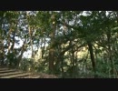 せっかくなので山田緑地に行ってみた