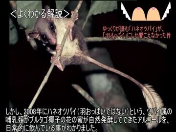 ゆっくり動物雑学「すごい酒豪の…」