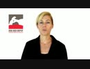 Wonderful Orthopedic dog beds.mp4