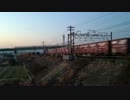 【貨物列車】東海道本線 豊川放水路橋梁 5099レ EF200牽引