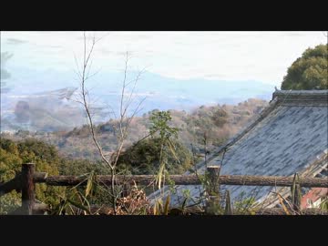 野鳥を撮る　その２　