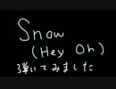 【ベース】Red Hot Chili Peppers/Snow (Hey Oh) を弾いてみた【RHCP】