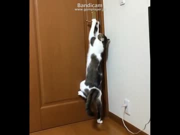 ドアを開けおう