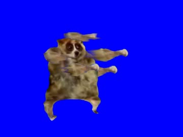 淫夢百裂拳BB.mp4